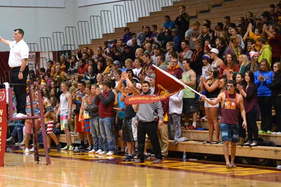 Volleyball Crowd